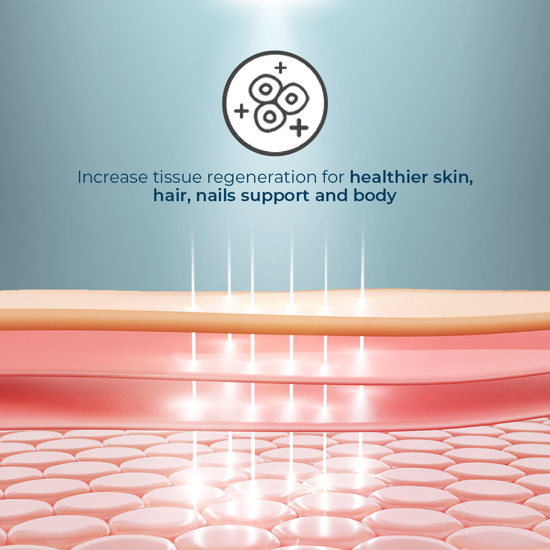 Nutra KOS Benefits