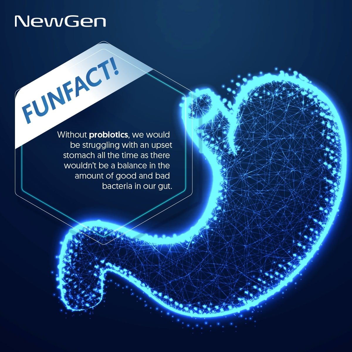 New Gen Fun Fact